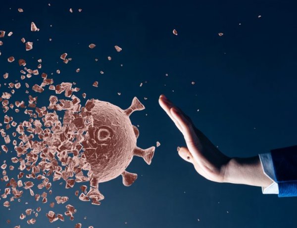 Újabb tájékoztatás – Friss információk az intézkedésekről Nyíregyháza önkormányzatától