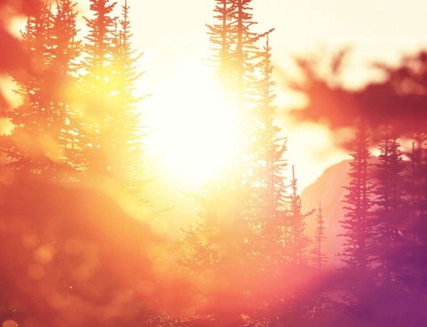 Tavaszias melegre számíthatunk, sok napsütésben lesz részünk