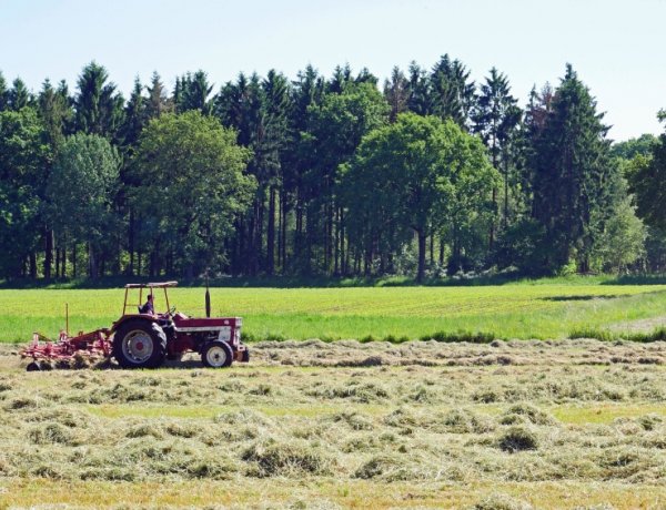Nem akadályozza a mezőgazdasági munkákat a kijárási korlátozás