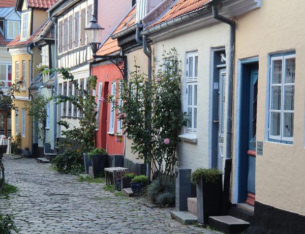 Volt aki 100 élesztőt vett a járvány miatt  – Nyíregyházi fiatalok Dániában