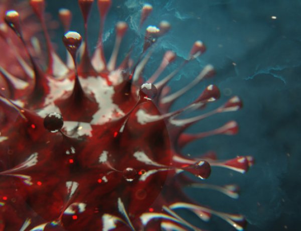 Megvan a nyilvános lista a koronavírusban elhunytak neméről, életkoráról és betegségeiről