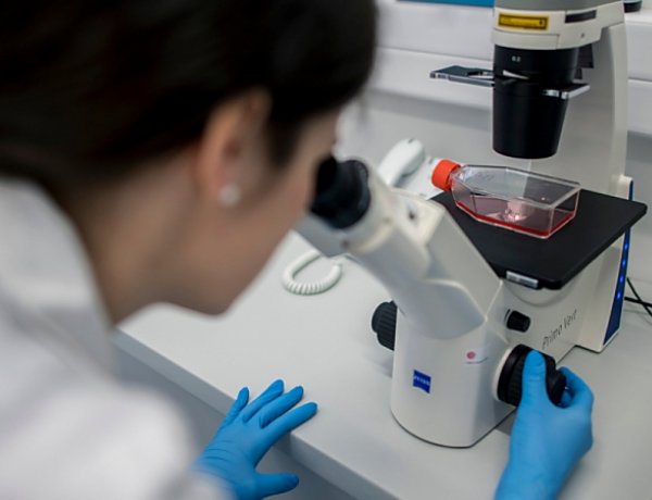 Magyar kutatás indul a koronavírus-fertőzésen átesettek bevonásával