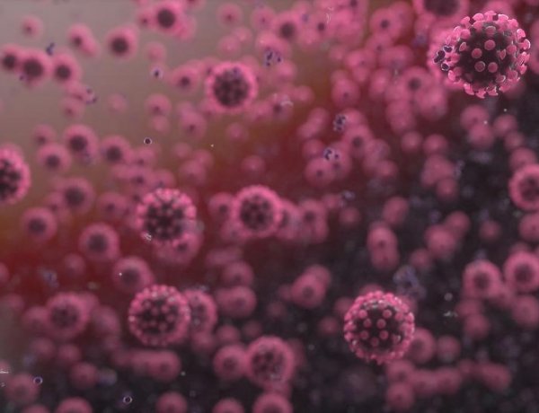 733 főre nőtt a beazonosított fertőzöttek száma és elhunyt 2 idős beteg