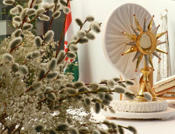 Hívők nélkül ünneplik virágvasárnapot a Vatikánban                             