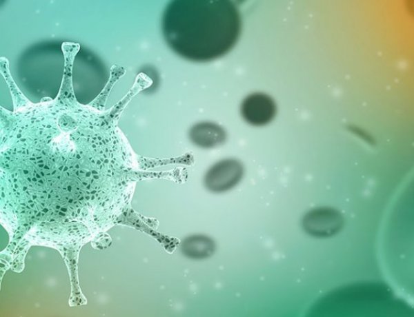 Egy amerikai immunológus szerint megvan a koronavírus kezelésének lehetséges ellenszere