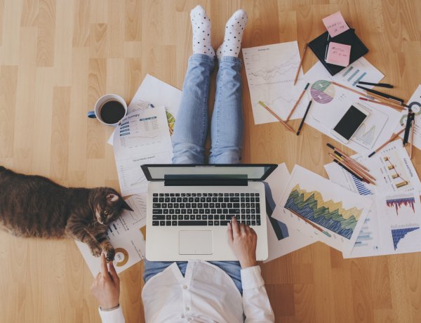 Nem várt pozitív hatásai is vannak az otthoni munkavégzésnek