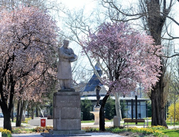 Virágba borult a belváros - Csodálatos látvány az arra közlekedőknek