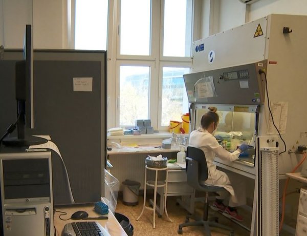 Így zajlik a laborban a munka – Nézze meg Ön is a laborban készült riportot!