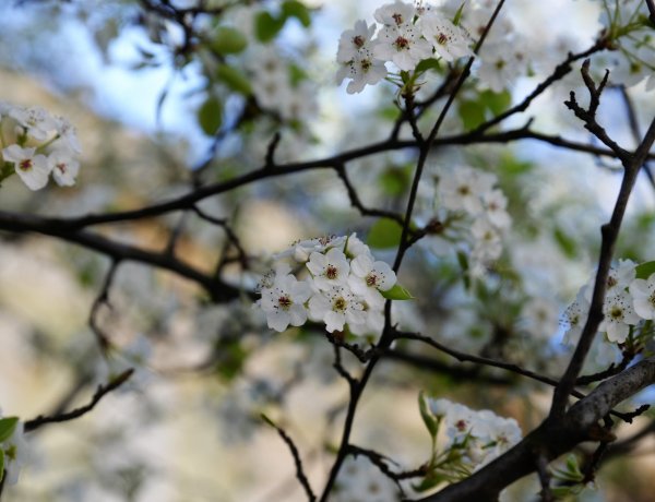 Országos Meteorológiai Szolgálat: akár 25 fok is lehet csütörtökön