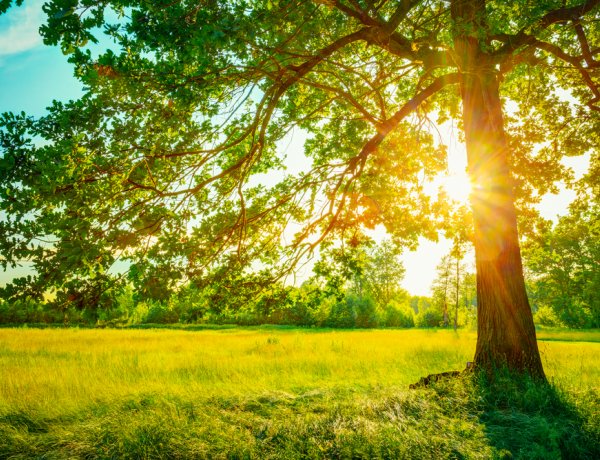 Húsvétvasárnap még kitart a meleg és a napsütés - 20-25 fok várható