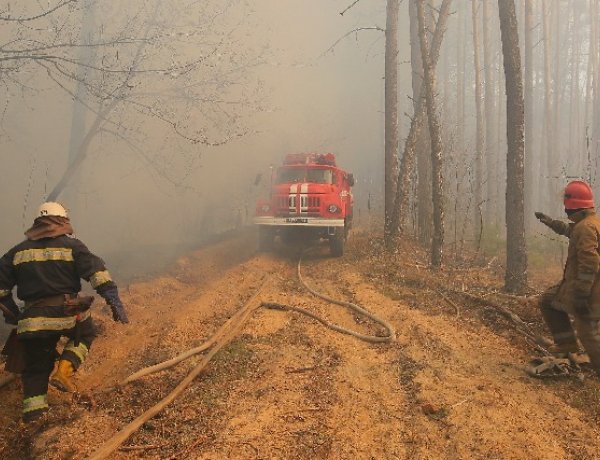 Továbbra is súlyos a csernobili tiltott övezetben pusztító erdőtűz