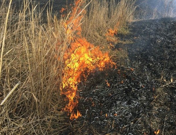 Ezek a tűzesetek történtek a megyében - Hírek a katasztrófavédelemtől