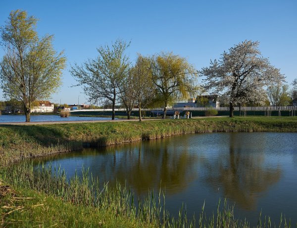 Legszebb arcát mutatja tavasszal a Bujtosi Városliget - Csodálja meg otthonról