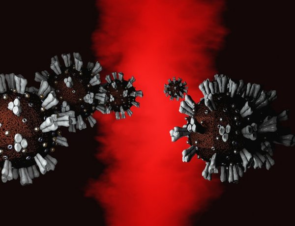 Debreceni Egyetem: Az időjárás hatással van a vírusok terjedésére