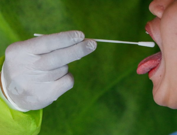 Eddig egyetlen feltételezés sem igazolódott a koronavírus eredetéről