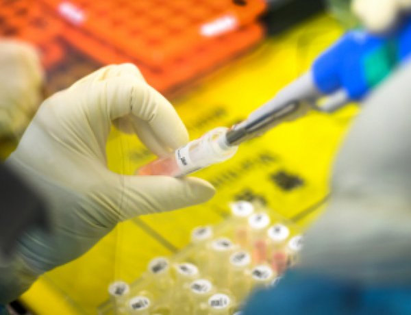 ITM: 33 ezer kutatót érinthet a kutatásfejlesztési bértámogatás