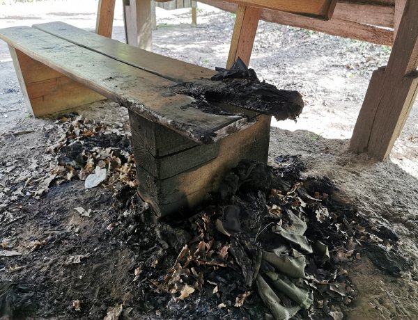 Égett a pad az erdőben - Szerencsére időben észrevették a tüzet, így eloltották