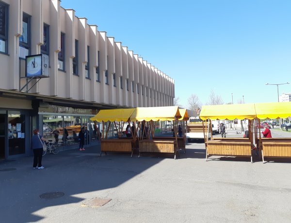 Palántavásár keddtől a Búza téren, a piaccsarnok előtt várják a kerttulajdonosokat