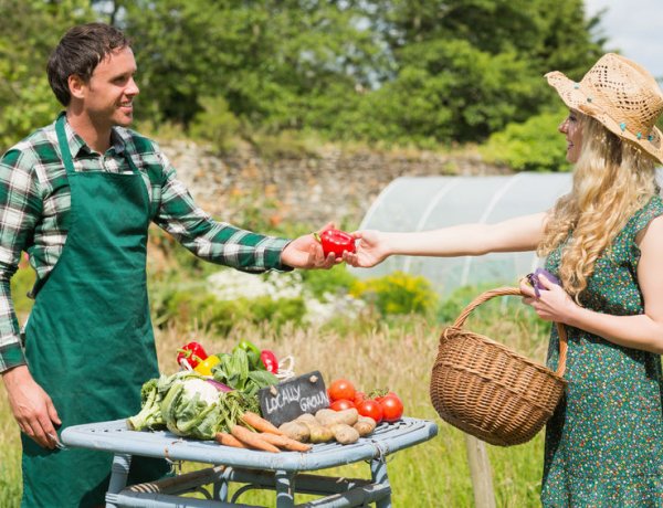 A vészhelyzetet követően is kiváltható visszamenőleges hatállyal az őstermelői betétlap