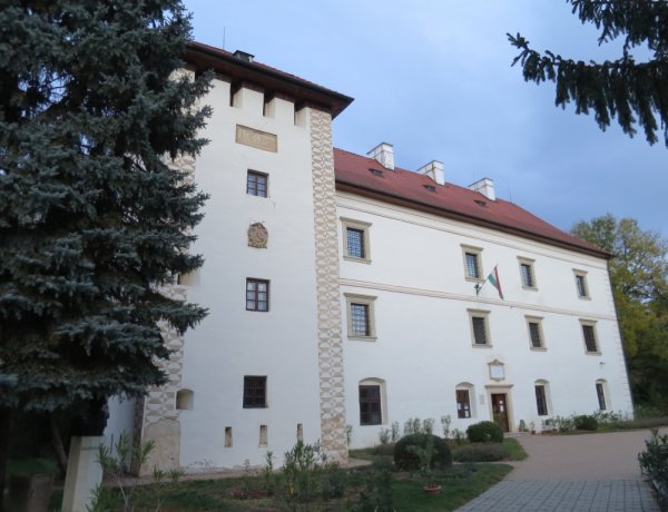 Egy kidőlt fa gyökere izzott a hétvégén a Vay-kastély udvarán