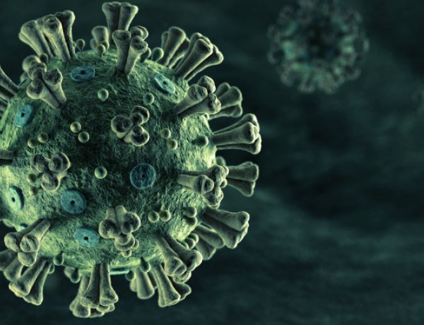 A koronavíruson átesettek vérsavóját használnák terápiára   