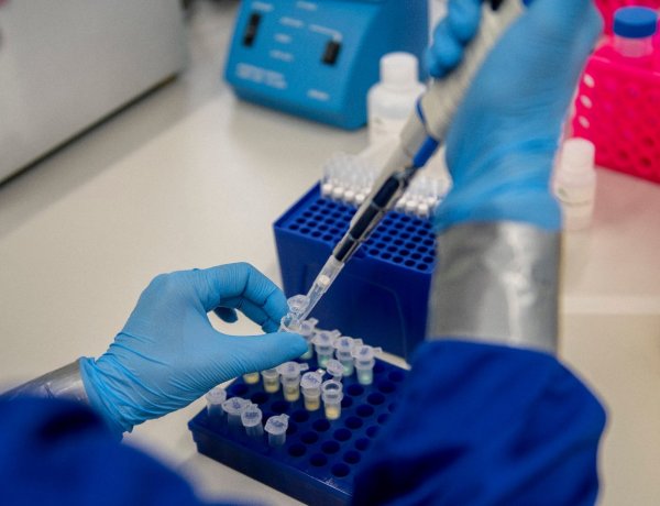 Harminckét vírusminta teljes genetikai analízisét végezték el pécsi kutatók