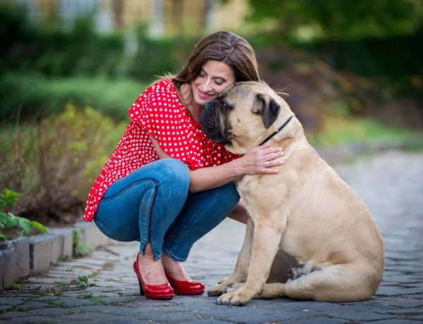 Ennél fotogénebb kutyát aligha találni! Gróf Andrássy Adolf bezsebelte az első díjat!