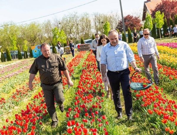 A kormány csomagja komolyan érinti a kertészeti ágazatban dolgozókat is