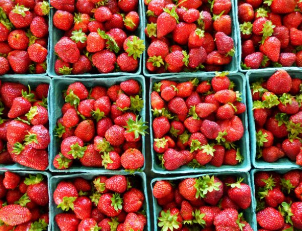 A hétvégétől mindenhol kapható a magyar szamóca - Az elmúlt két év legjobb termése lehet