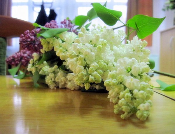 Ballagás helyett így búcsúztak ma a végzős Zrínyisektől! A csengő is megszólalt!