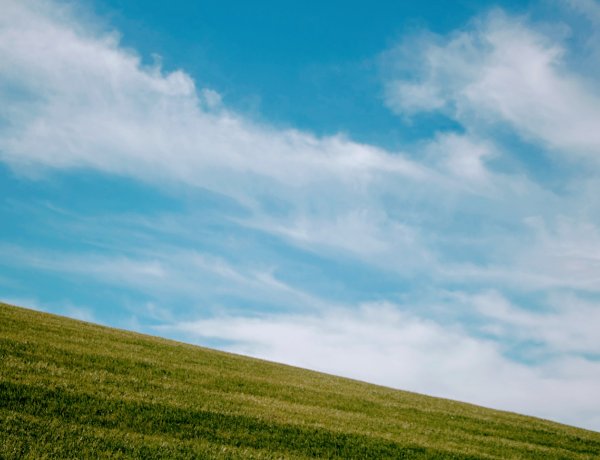 Szeszélyes tavaszias idővel búcsúzik a hét - Néhol kisebb zápor lehet