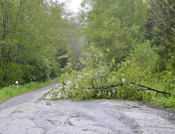 Szombat estig 140 viharkárhoz riasztották a katasztrófavédelem egységeit