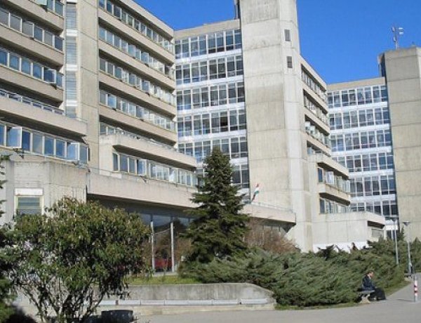 Újabb négy magyar egyetem került fel a rangos felsőoktatási listára