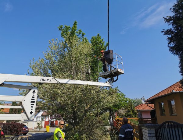 Gallyazás a város több pontján - Több ág belelógott az elektromos vezetékekbe