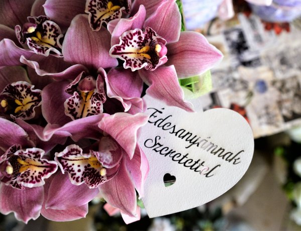 Ők is hétköznapi hősök! A taps és a köszönet az anyukáknak is jár!