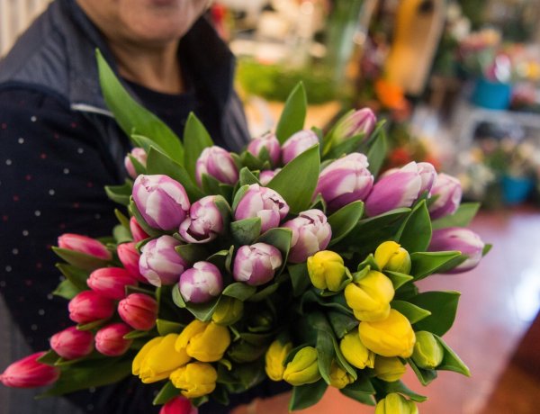 Nyitva maradhatnak a virágboltok a hosszú hétvégén – Itt vannak a részletek!
