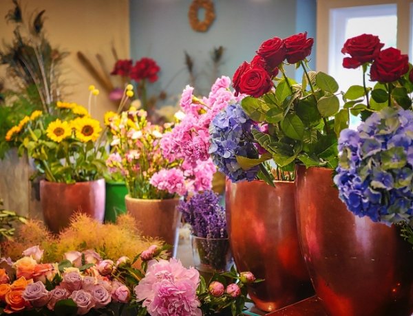 Nemzeti Agrárgazdasági Kamara: lepjük meg az édesanyákat hazai virággal