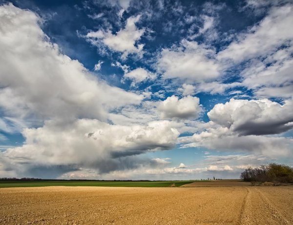 Változékony, tavaszias idő várható május első hétvégéjén    