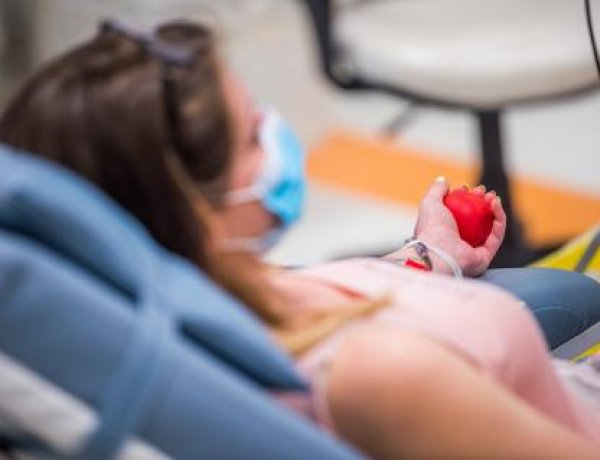 Egyre több potenciális vérplazmadonor jelentkezik - A terápia jelentős eredményeket mutat