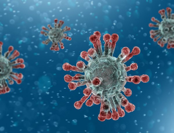 Magyarországon immár 53. napja tart az egész világot sújtó járvánnyal szembeni védekezés