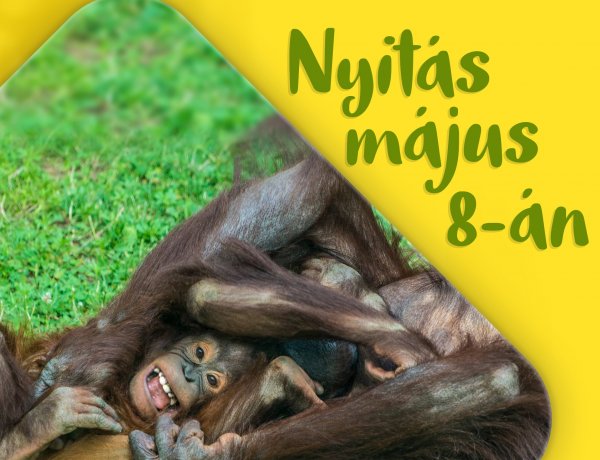 Május 8-án nyit a Nyíregyházi Állatpark – Itt vannak a részletek!