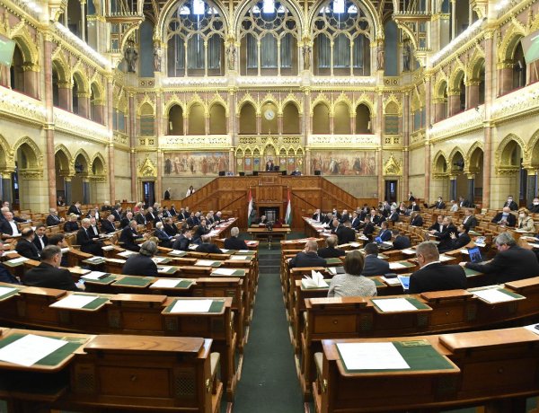 A gyermekek és nők védelméről is nyilatkozatot fogadhat el a parlament