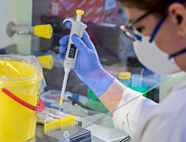 Felfedeztek egy ellenanyagot, amely megvédi a sejteket az új koronavírus-fertőzéstől