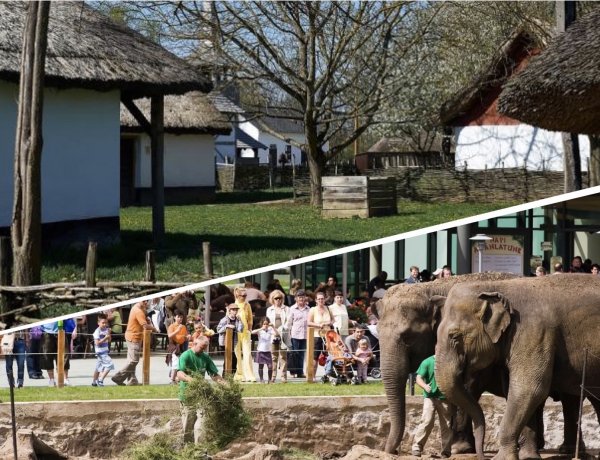Május 8-tól látogatható lesz a Sóstói Múzeumfalu és a Nyíregyházi Állatpark