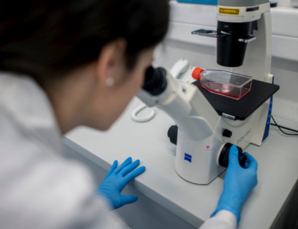 Országos szűrővizsgálat: nyíregyházi lakosok is részt vesznek a járvány elleni küzdelemben