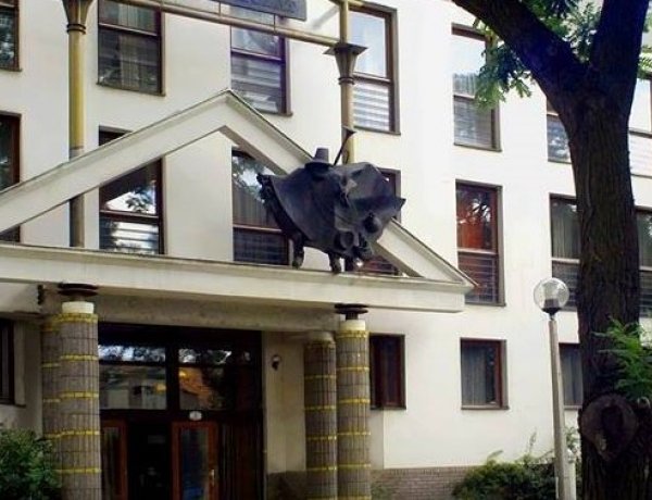 Siker a Művészetiben – Az élet nem állt meg a pandémia ellenére sem!