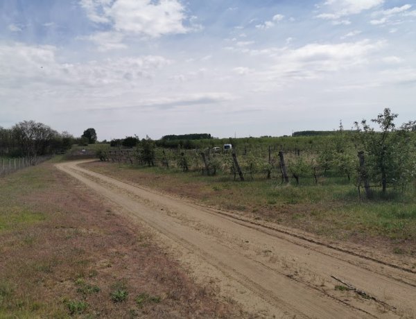 Tragédia Kőlaposnál - Két személyt holtan találtak egy tóban