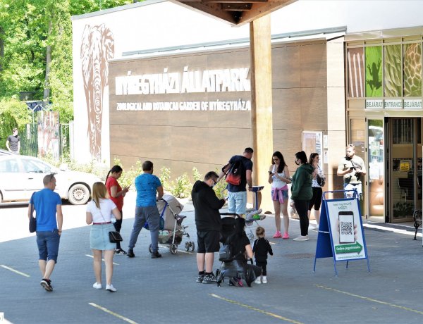 Újra benépesedett Sóstó! Most már a Múzeumfalu és az Állatpark is látogatható