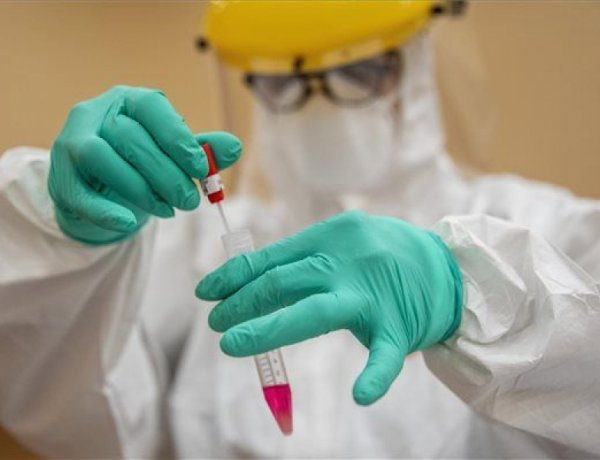 Országos tisztifőorvos: eddig nagyon sikeres a járvány kezelése