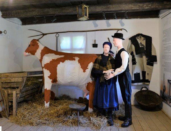 Több száz vendég – Sikeres volt az első hétvége a Sóstói Múzeumfaluban